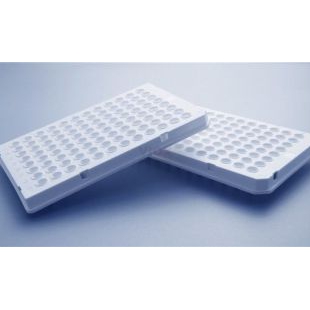 Roche480专用PCR96孔板