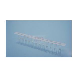 0.2ml透明PCR十二联管（含盖）