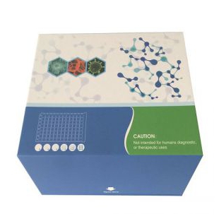 人神经胶质纤维酸性蛋白（GFAP）ELISA试剂盒