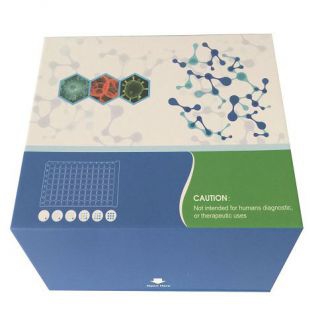 人类白细胞抗原G（HLA-G）ELISA试剂盒