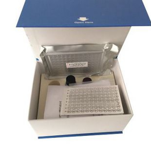 人纤连蛋白（FN）ELISA试剂盒