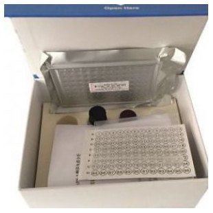人Ⅱ型胶原（Col Ⅱ）ELISA试剂盒