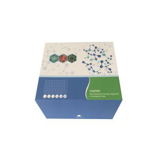 人白介素6(IL-6)ELISA试剂盒