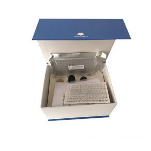 人β细胞素（BTC） ELISA试剂盒