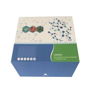 大鼠骨桥素（OPN）ELISA检测试剂盒
