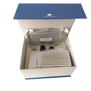 人膽囊收縮素/腸促胰酶肽試劑盒,人(CCK)ELISA檢測試劑盒