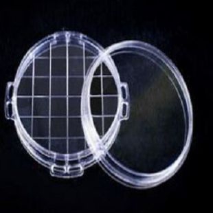 一次性塑料培养皿 75x15耳朵皿本生
