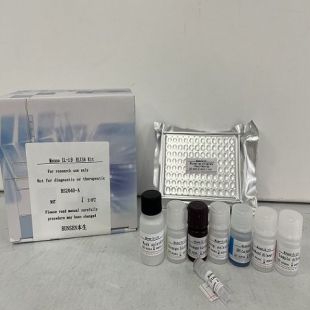 小鼠白介素1β(IL-1β)ELISA试剂盒