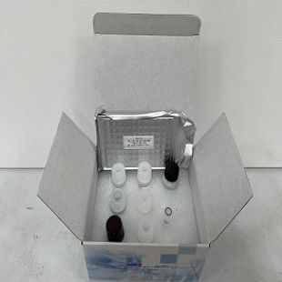 小鼠白细胞介素1β(IL-1β)ELISA试剂盒 