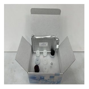 猪细小病毒抗原(PV-Ag)ELISA试剂盒