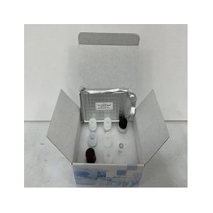 BUNSEN本生人抗Xa因子（AT-Xa）ELISA试剂盒