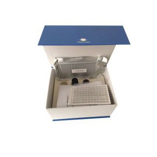 小鼠Toll樣受體4(TLR4)ELISA試劑盒