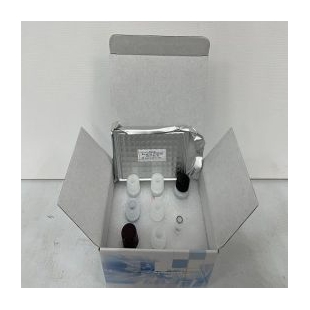 人白介素2(IL-2)ELISA试剂盒