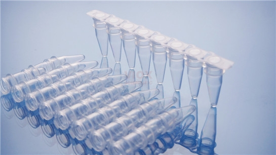 透明盖0.2ml PCR八联管配荧光定量PCR八联盖