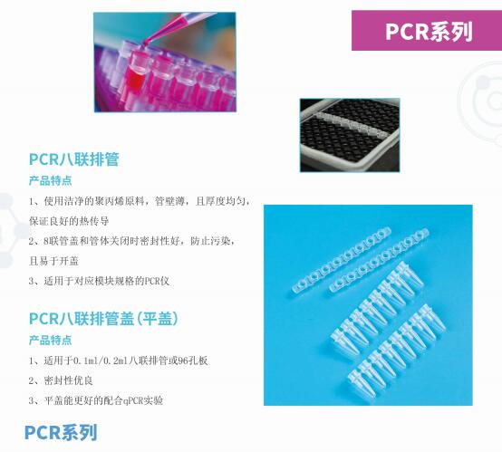 pcr2 .jpg