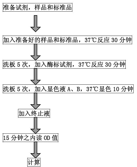 elisa试剂盒操作步骤