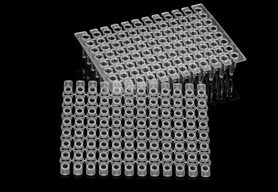  BUSNEN本生  96孔可拆卸板 PCR板 天津本生