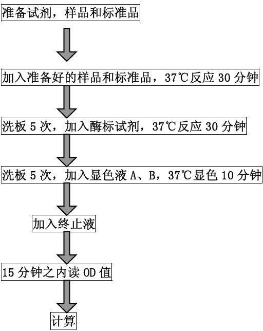 试剂盒 人试剂盒