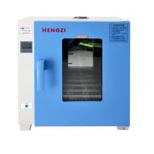 HGZN-II-138电热恒温干燥箱 实验干烤箱 融蜡箱 新诺