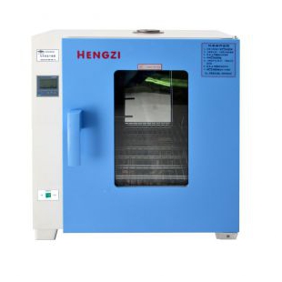HGZN-II-72电热恒温干燥箱 不锈钢实验烘烤灭菌箱 新诺