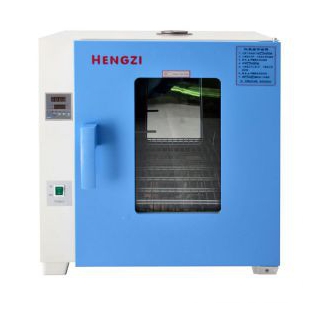 HGZF-II/H-101-2电热台式恒温鼓风干燥箱 干烤灭菌箱 新诺