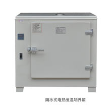 PYX-DHS-300-TBS隔水式电热恒温培养箱