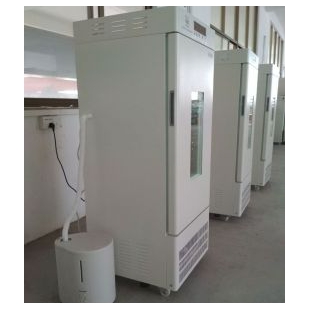100升制药恒温试验箱 LRH-100-Y药物稳定性试验箱