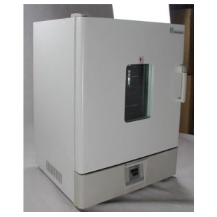 立式电热鼓风干燥箱DHG-9030实验室烘箱