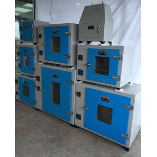 300℃高温烘箱101-4FD程控电热鼓风干燥箱 