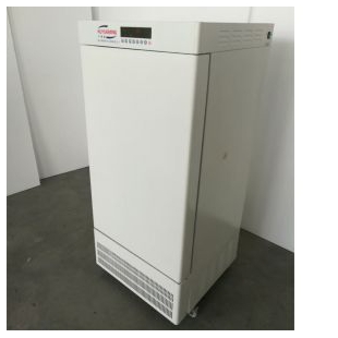 LRH-150CA低温培养箱-40～65℃种子培养箱