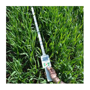 玉米冠层测量仪HYM-2100植物冠层分析仪  