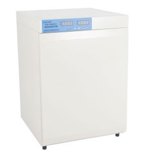 细胞组织培养箱DNP-9162BS-III电热恒温培养箱 