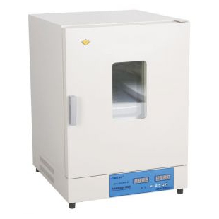实验室300℃干燥箱DHG-9143BS-III鼓风干燥箱 