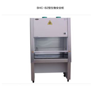 1**%外排洁净安全柜BHC-1000B2生物安全柜 