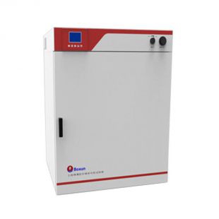 BGZ-420电热鼓风干燥箱640*600*1400实验室干燥箱