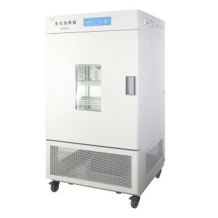 MJ-500F-I霉菌培养箱 上海一恒500L霉菌育种箱