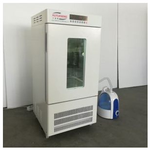 农作物种子育种试验箱LRH-250-MS霉菌培养箱  