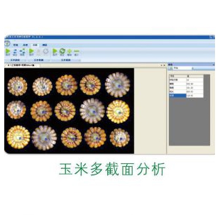 TPKZ-2智能考种分析系统 稻麦考种分析仪