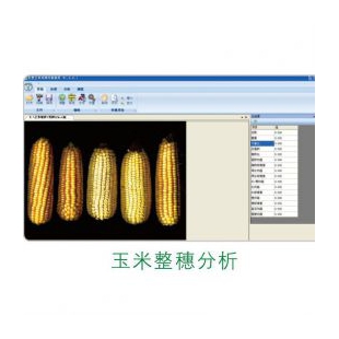 玉米自动考种分析系统TPKZ-1农作物考种分析系统 