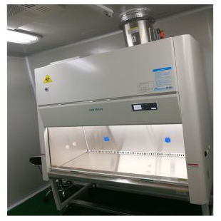BSC-1004IIB2生物安全柜 采样器菌落总数安全柜 
