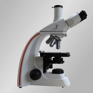 TL2800A研究级生物显微镜 无限光学系统显微镜 