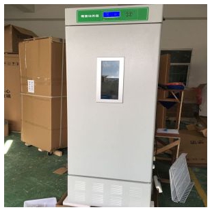 MJX-1000B智能霉菌培养箱 药品抗氧保存箱