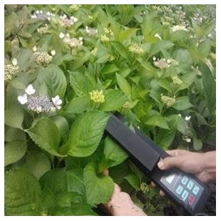 叶绿素含量、氮素、湿度、温度LYS-4N植株营养测定仪 