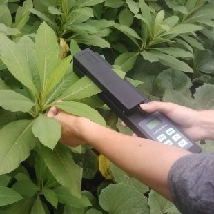 农作物生长抗伏倒测试仪DDZ-1植物抗倒伏测定仪