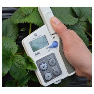 YLS-A植物叶绿素测定仪 农作物叶子绿素测量仪