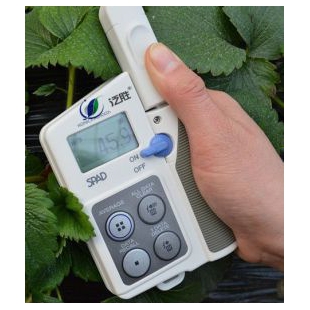 植物叶片厚度测量仪YHD-1叶片厚度仪 