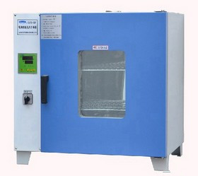 上海龙跃GZX-DH•300-BS-Ⅱ电热恒温干燥箱