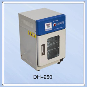 DH-250A电热恒温培养箱