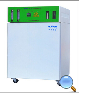 WJ-2-160二氧化碳细胞培养箱  上海龙跃培养箱
