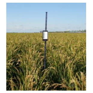 稻麦株高测量仪TPDM-G-1 